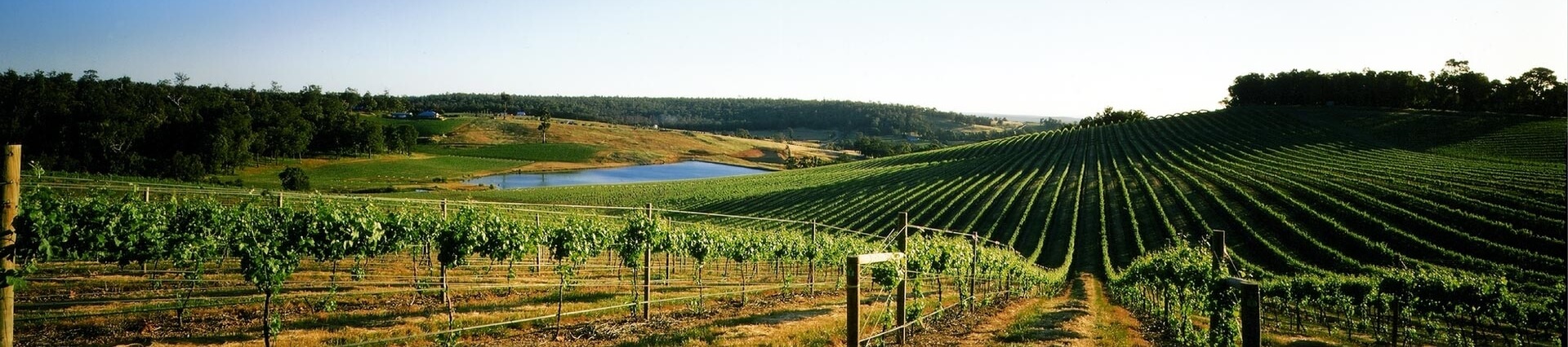 winery and lake