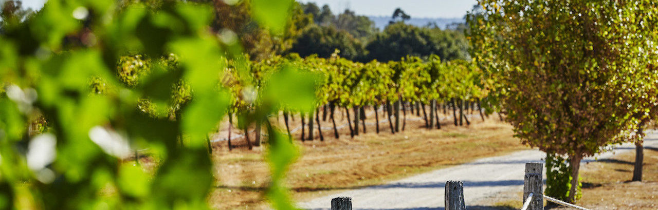 Lancaster Wines, Swan Valley