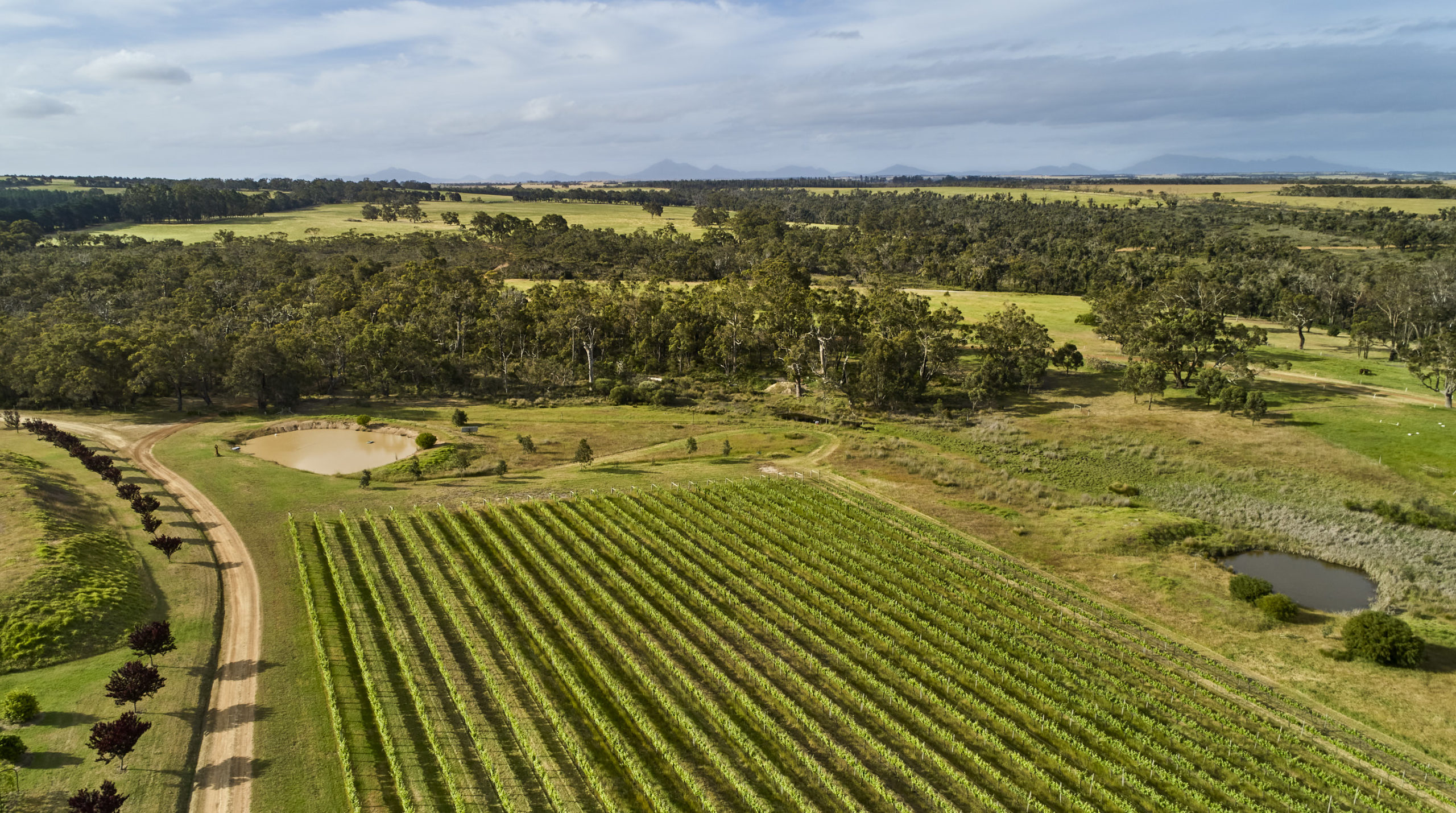 47_WoWA_Zarephath Wines.GSWR