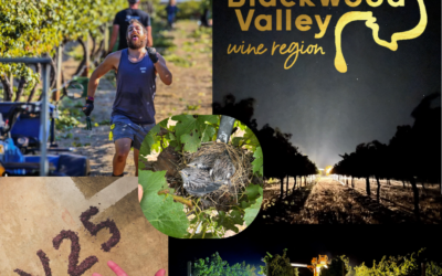Blackwood Valley Wine Region 2025 Vintage