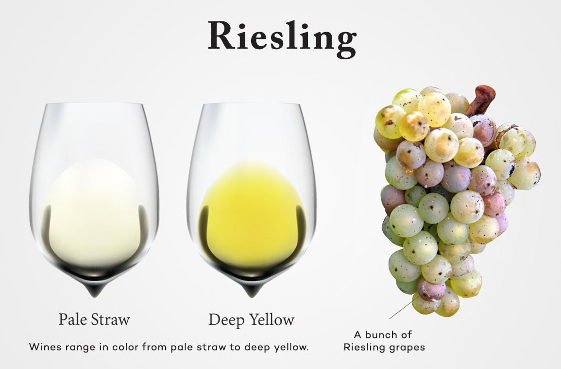 Riesling-Wine-Grapes-Glass-Wine-Folly